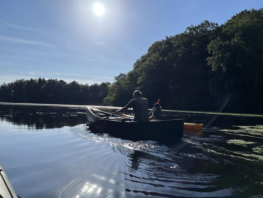 auf dem Rosensee