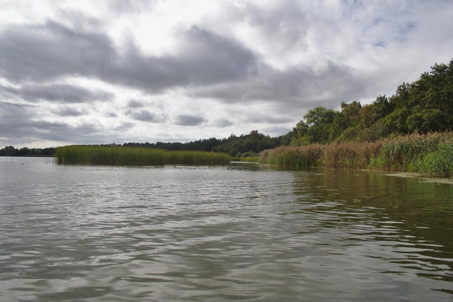 Ufer nahe der Hohburg