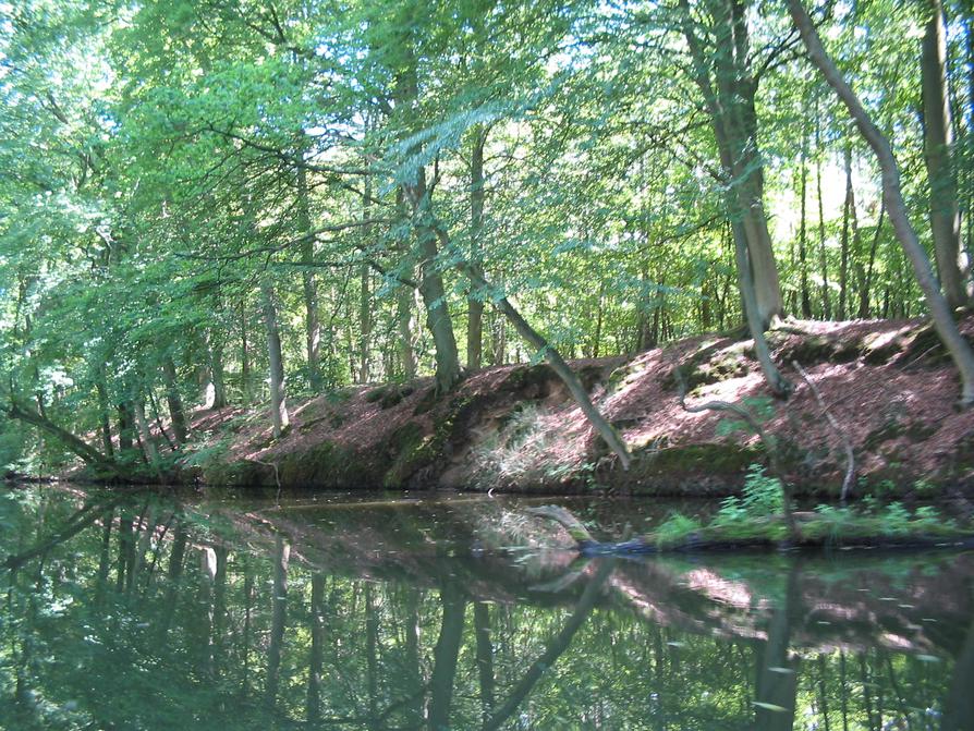 Mildenitz bei Borkow