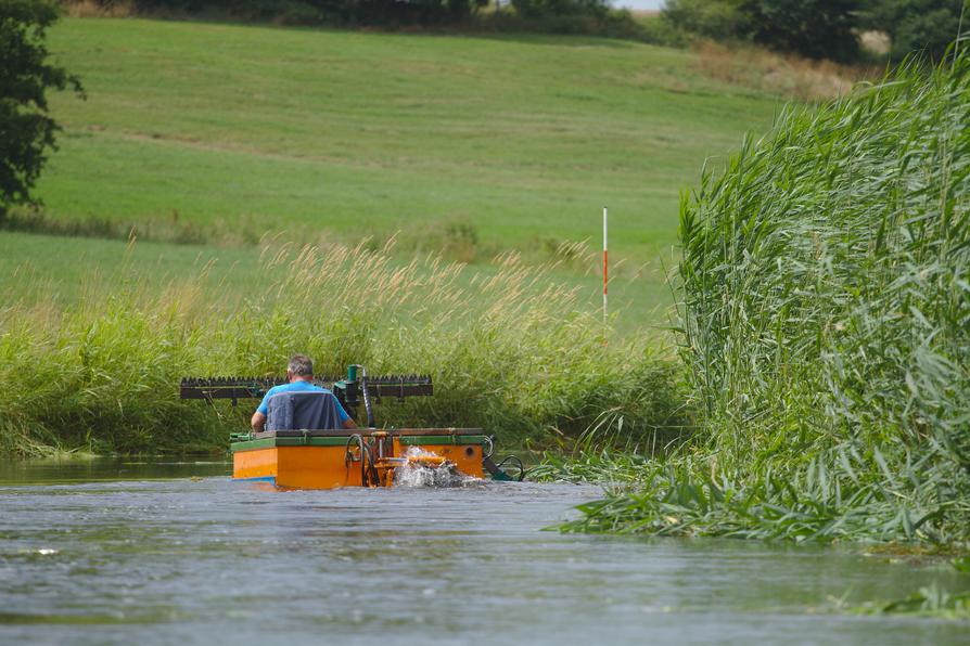 Mähboot in der Tollense