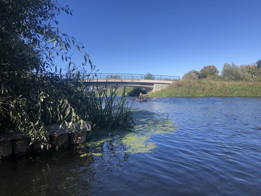 auf der Tollense in Sanzkow