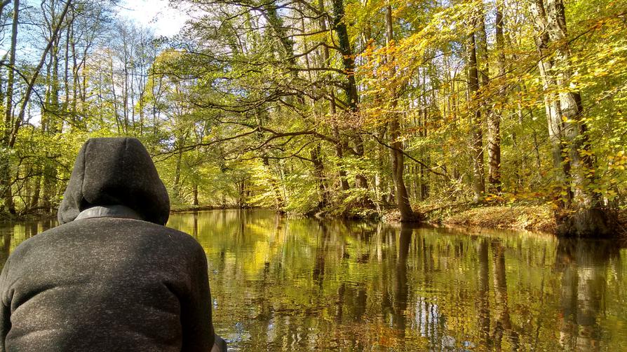 die Schwentine im Herbst die Schwentine im Herbst