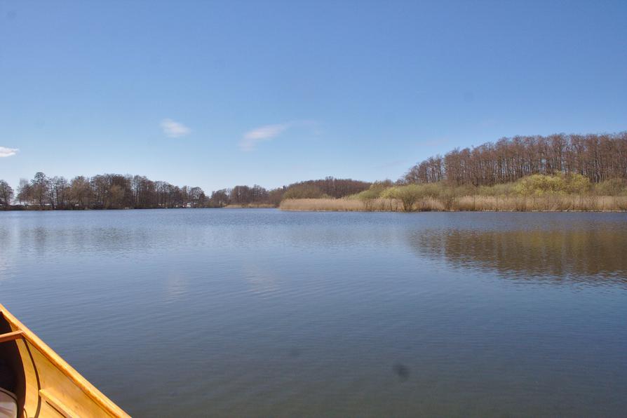 die Rohrdommelbucht die Rohrdommelbucht