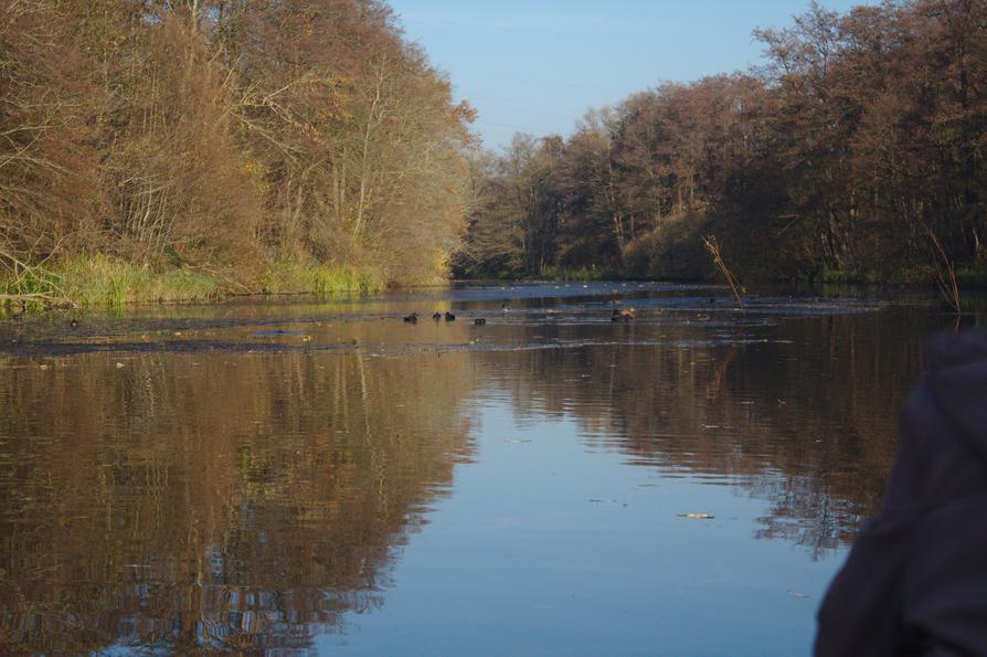 Eider-Ring-Kanal bei Achterwehr