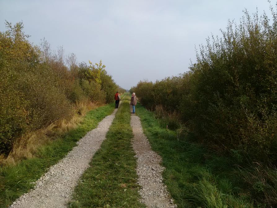 Damm im Wilden Moor in Osterrönfeld Damm im Wilden Moor in Osterrönfeld