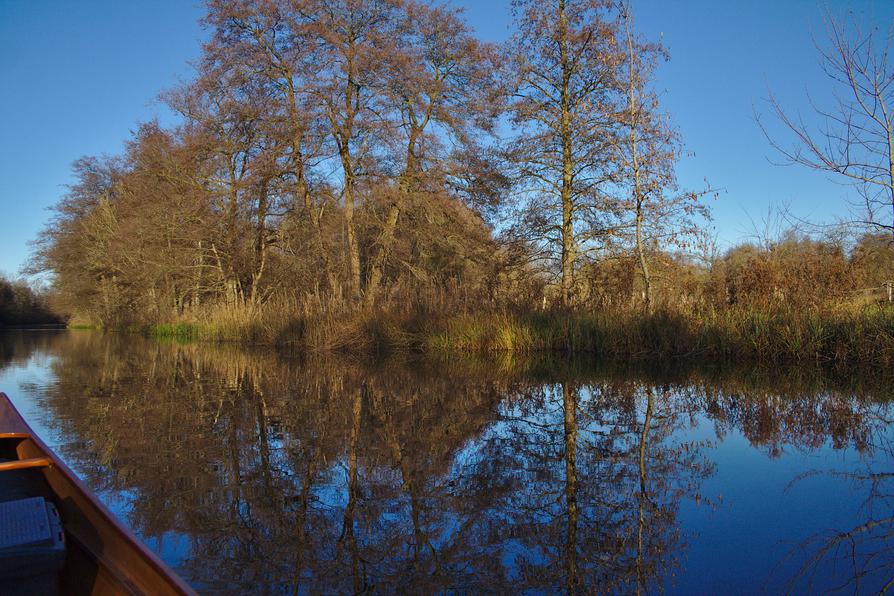 Winter - Vegetation am Eider-Ring-Kanal