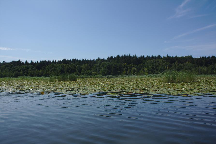 Großer Kotzower See