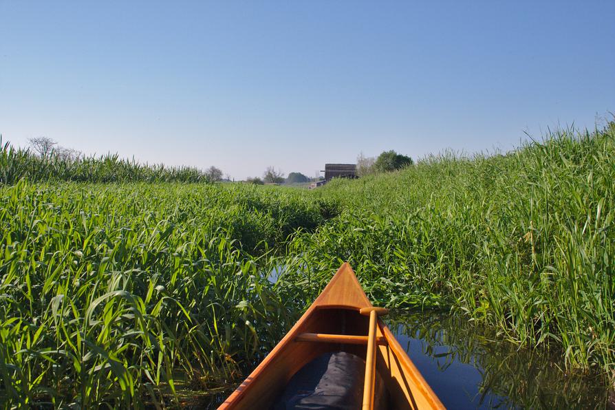 zugewachsener Darguner Kanal