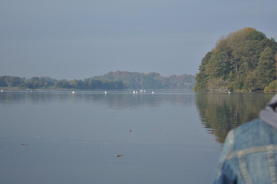 Kleiner Plöner See Kleiner Plöner See
