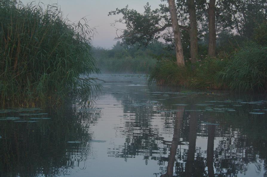 Nebengewässer der Peene am Morgen