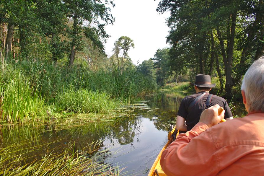 üppige Natur auf der Randow