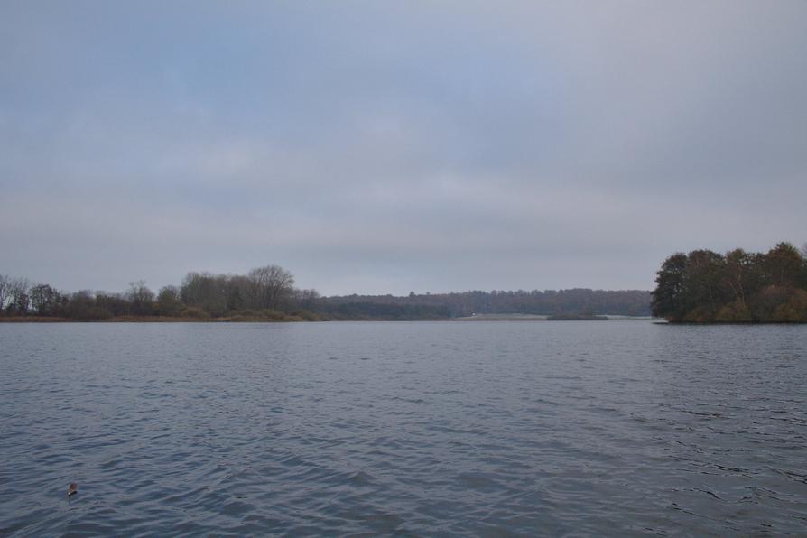 Inseln im Lanker See Inseln im Lanker See