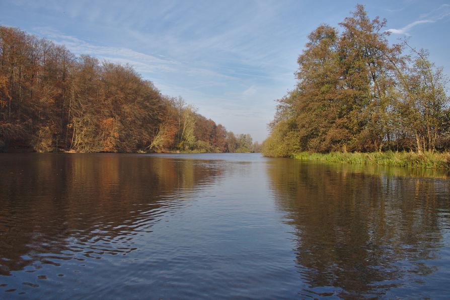 auf dem Rosensee