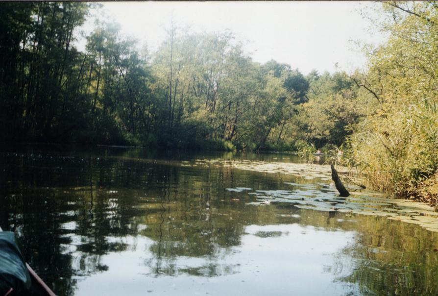 vor Fleether Mühle Rätzsee