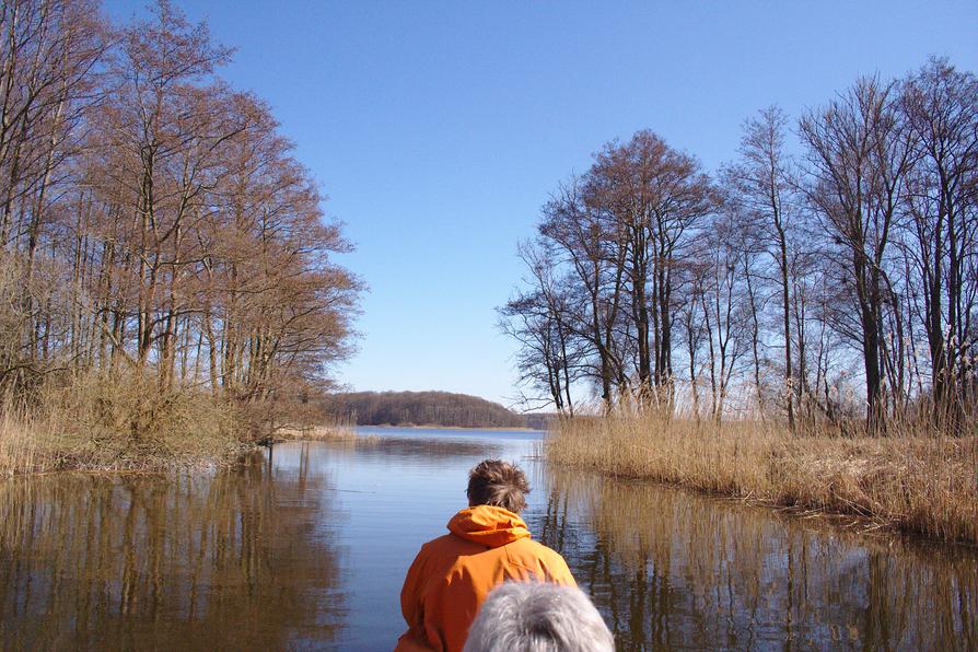 Die Eider vor dem Westensee