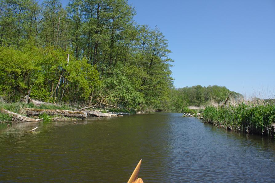 Warnow unterhalb Eickhof