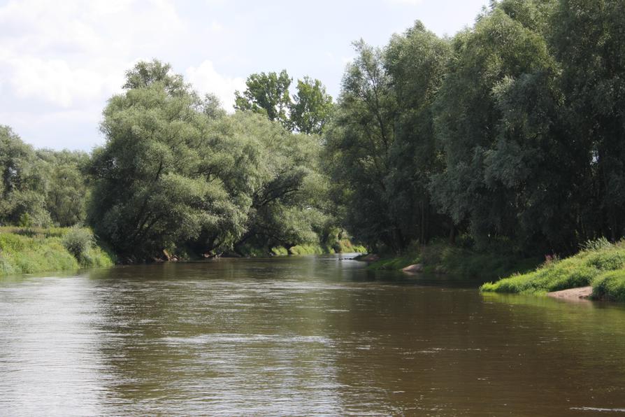 Neiße-Einmündung bei Ratzdorf