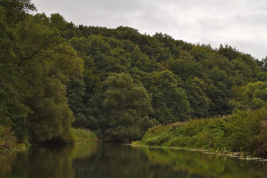 Gehölz an der Trave Gehölz an der Trave