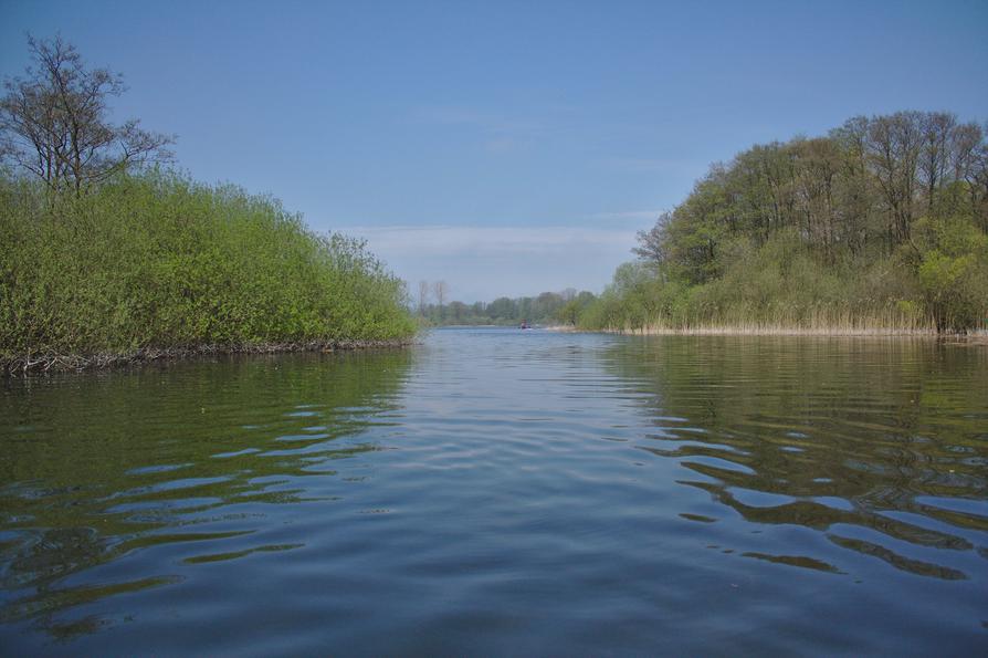 die Schwentine zwischen Kronsee und Fuhlensee