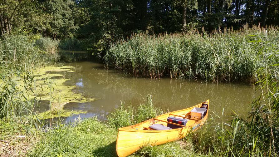 Zusammenfluss der Alten Göritzer Vorflut mit dem Bullergraben nahe Reitwein