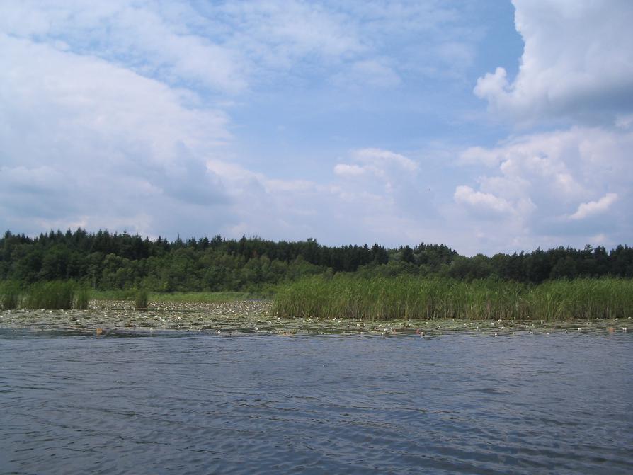 Kleiner Kotzower See