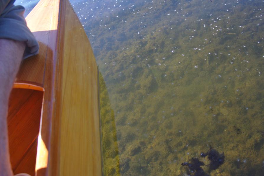 Flachstelle im Lanker See