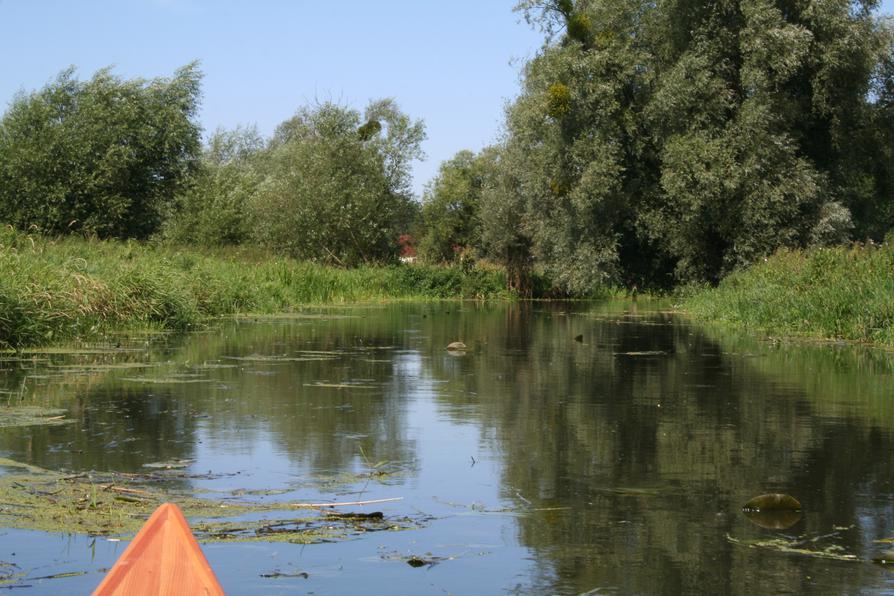 Alte Oder bei Gusow-Platkow