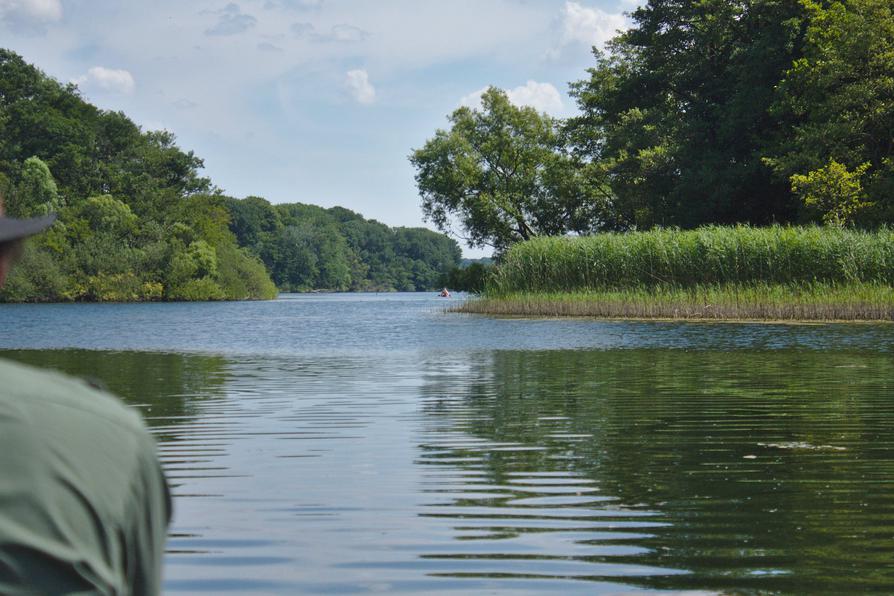 Große Breite bei Dörnick