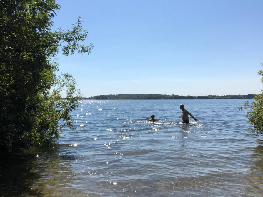 schwimmen im Kleinen Plöner See