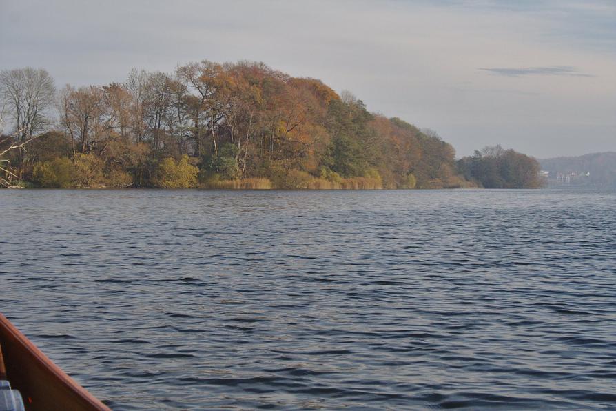 Ufer am Dieksee im Herbst