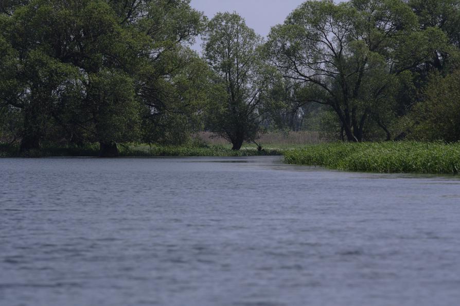 Gülper Havel bei Galberg Mühle