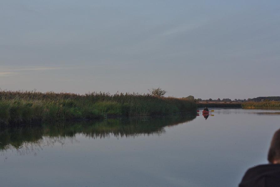 Abendstimmung auf der Peene