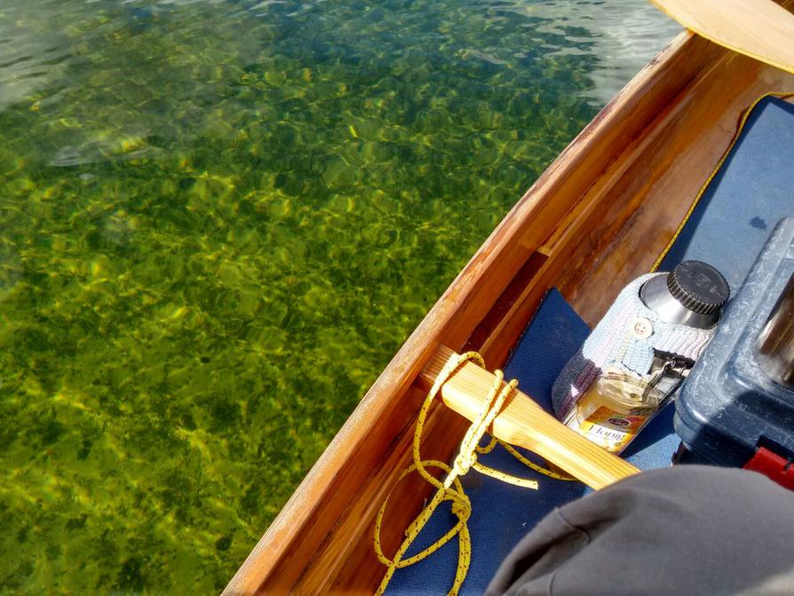 klares Wasser im Großen Plöner See