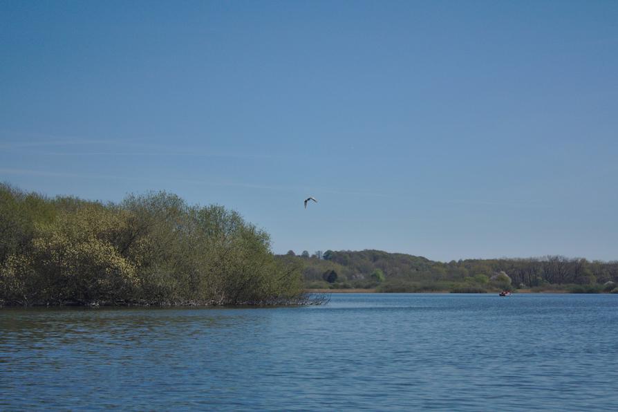 Lanker See bei Preetz