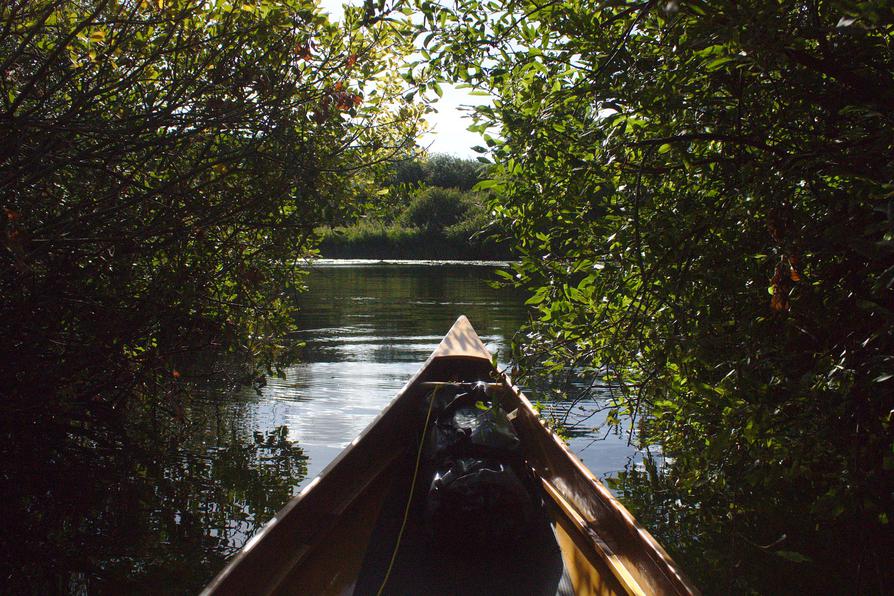 Zwischen Kleinen Plöner See und Mühlensee