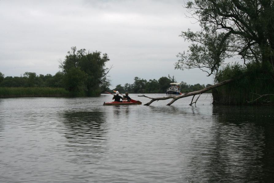 Paddler auf der Unteren Havel