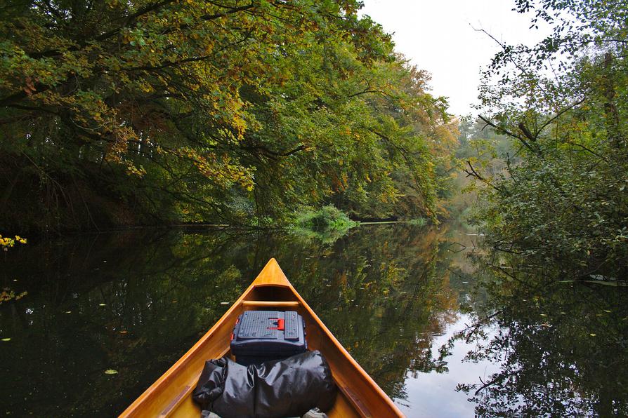 Oktoberfarben an der Schwentine