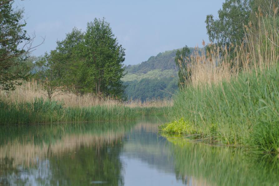 Alte Oder bei Neutornow