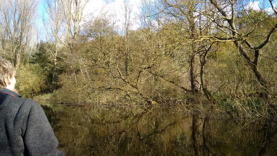 wilde Schwentine wilde Schwentine