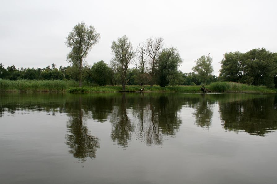 Havelufer unterhalb Havelberg