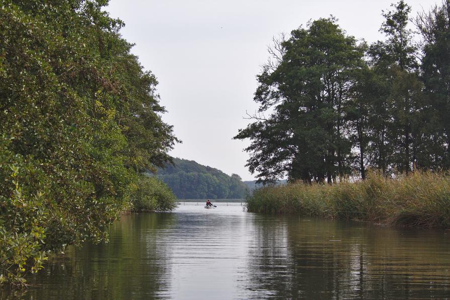 vor dem Westensee