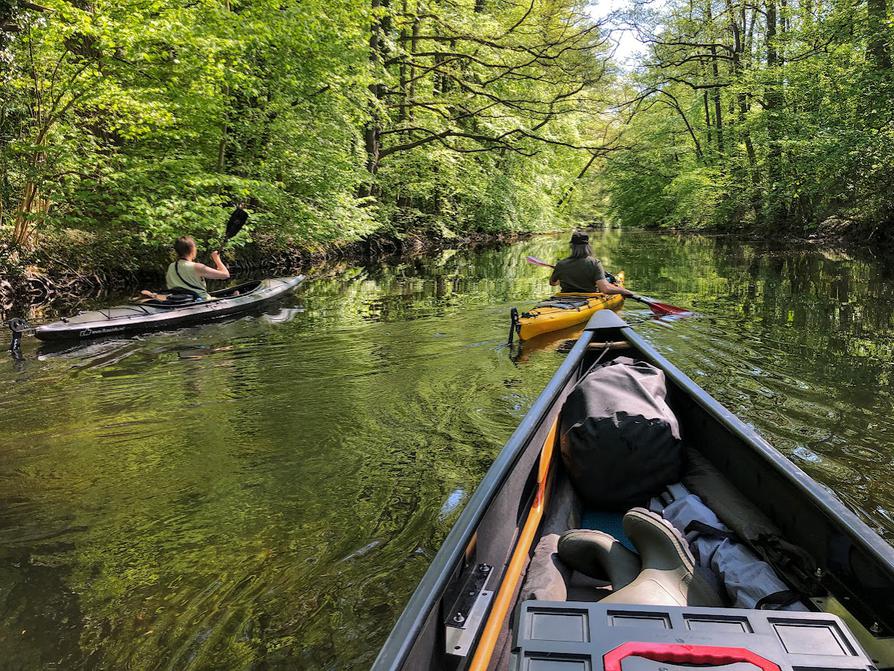 durch den Auenwald bei Gut Rastorf