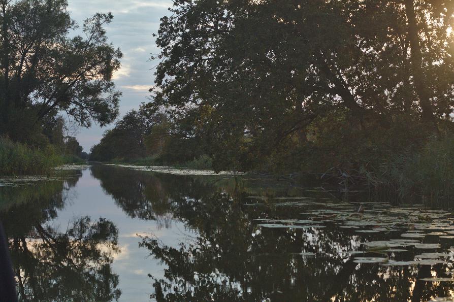 Abendstimmung auf dem Dahmer Kanal