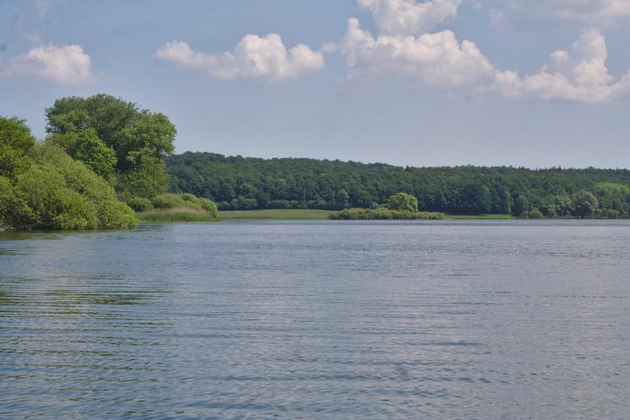 der Lanker See am Ostufer