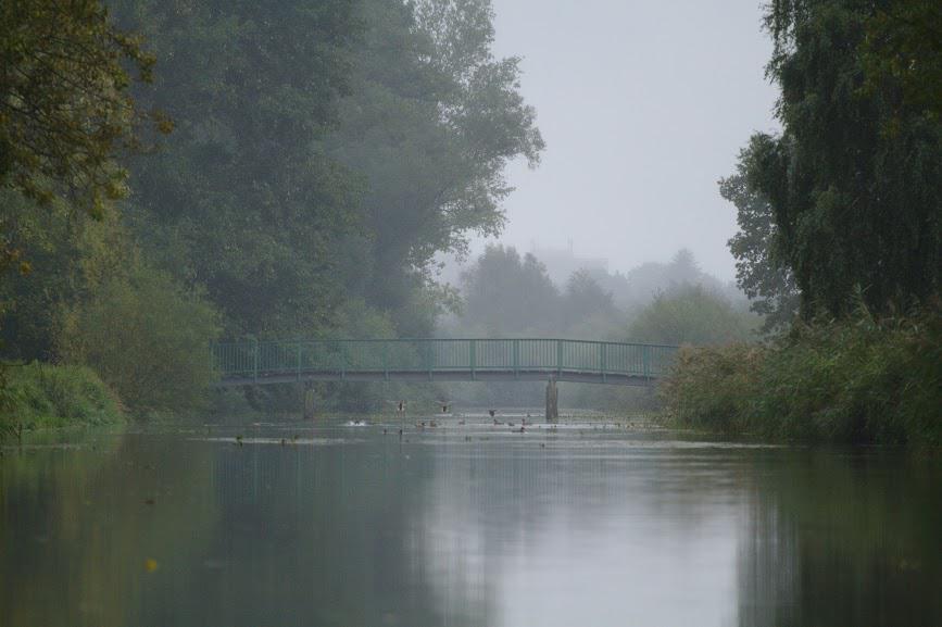 Grüne Brücke bei Wolkenwehe