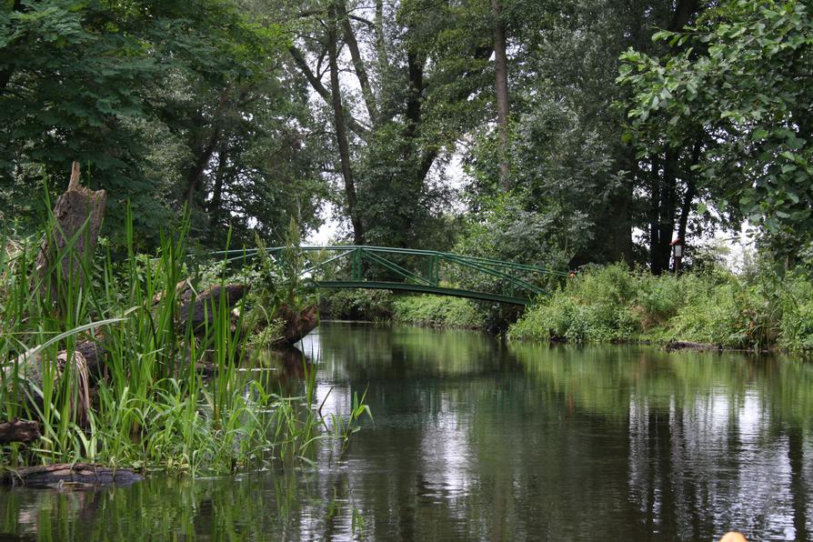 Alte Oder grüne Brücke Golzow