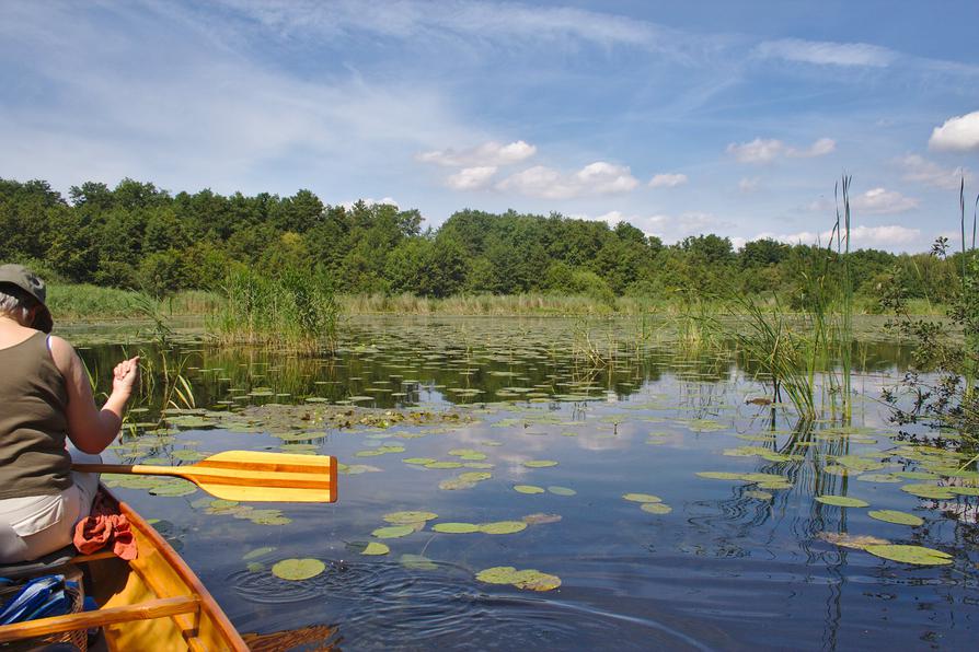 kleiner See in der Holsteinischen Seenplatte kleiner See in der Holsteinischen Seenplatte