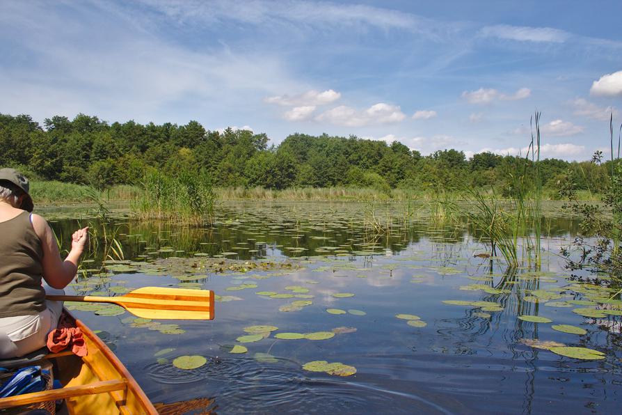 kleiner See in der Holsteinischen Seenplatte