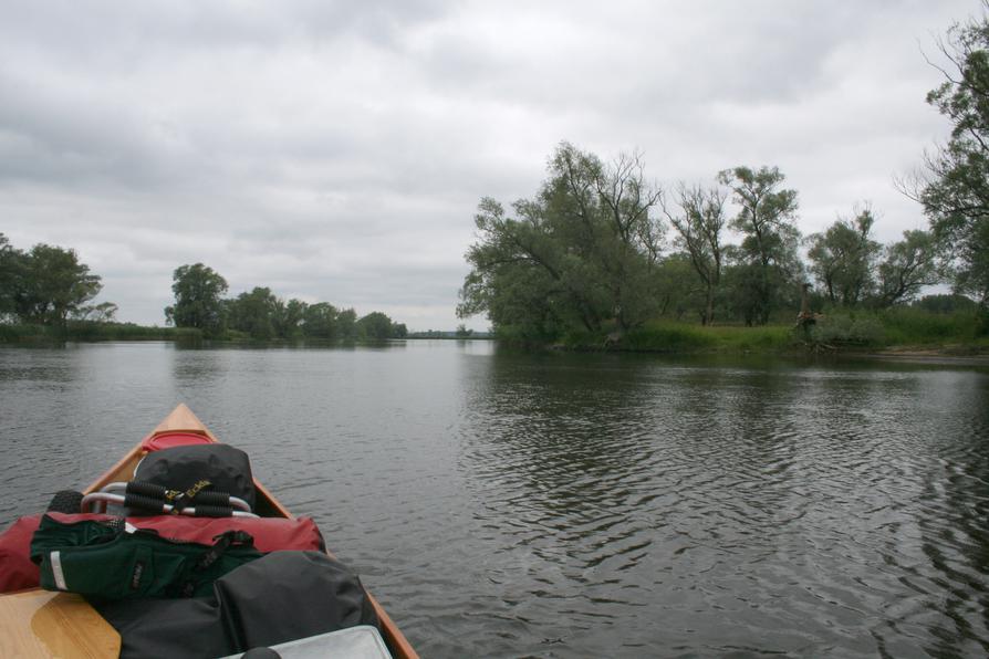 Naturlandschaft an der Havel