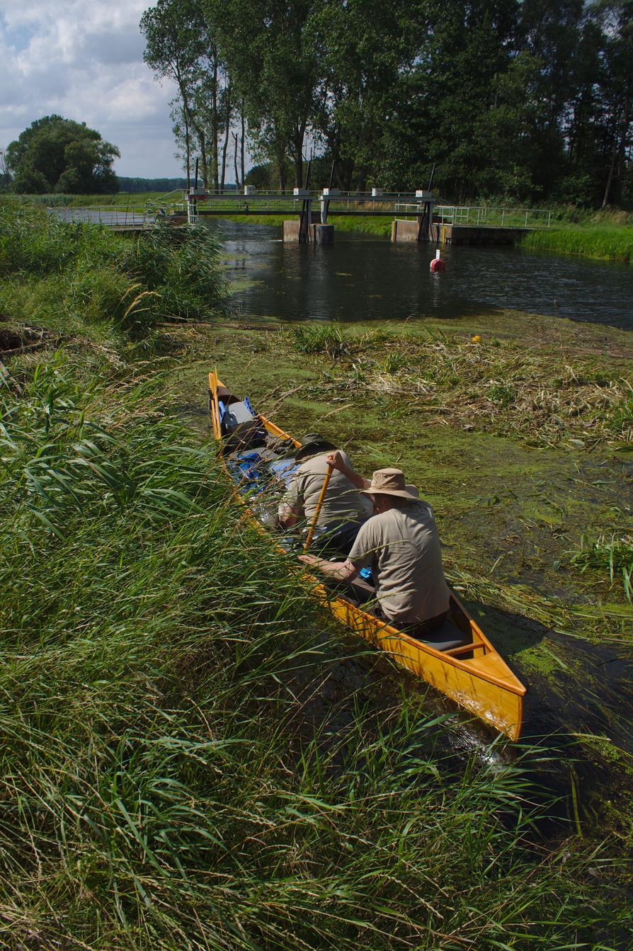 Krautsperre bei Roidin